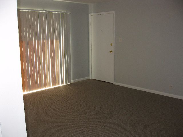 1st image of 9419 Bay Colony Dr APT 1E