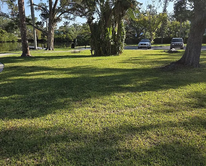 1611 Ballard Park Dr #A — Photo 30