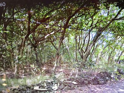 41355 Hana Hwy, Hana, HI, 96713
