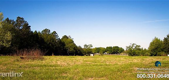 36441 Leslye Avenue Exterior Pasture 2