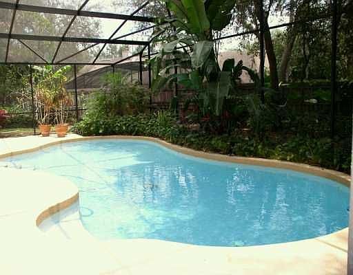 Tropical, heated pool