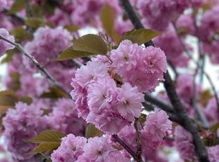 16 Austin St #1, Somerville, MA 02145