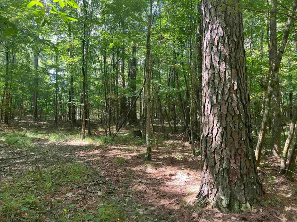 19-15 S 7w, Fountain Hill, AR 71642