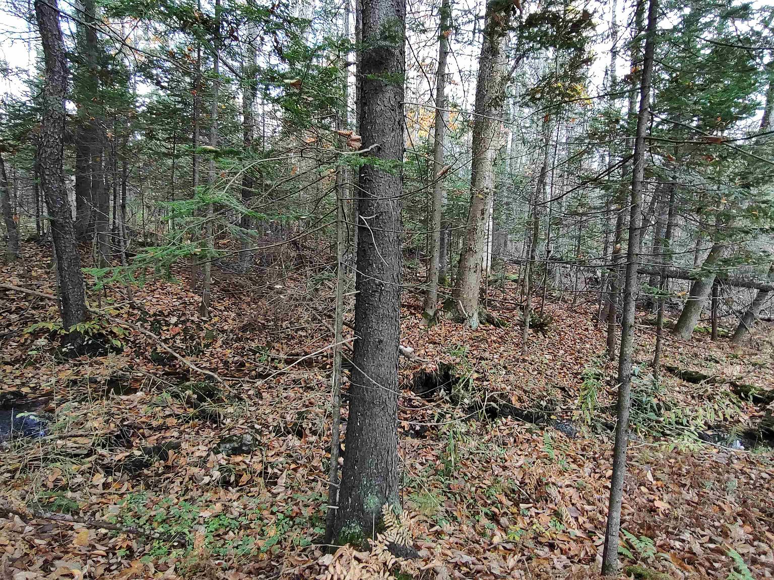 00 Donahue Road, Graniteville, VT 05654 MLS 4934642 Zillow