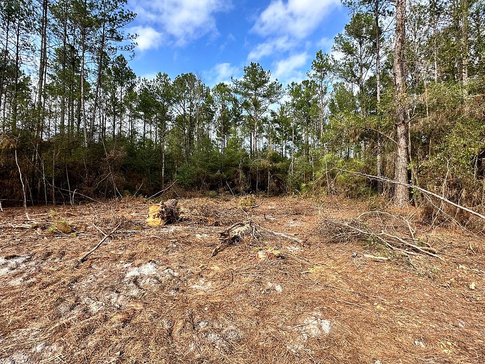 2nd image of 12th Terrace Lot 20