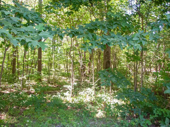 19182 White Pine Dr #5, New Buffalo, MI 49117