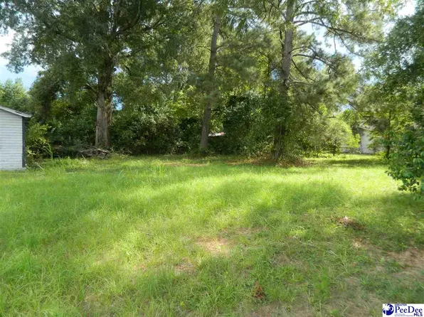 416 N Warren St, Timmonsville, SC 29161