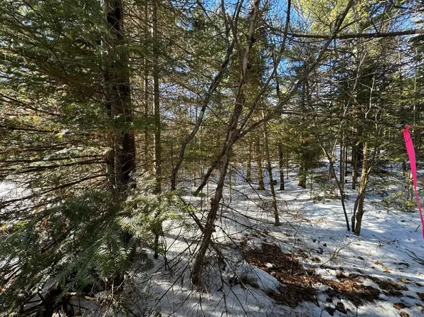 LOT 8 639 Mercer Lake Cres S, Mercer, WI 54547