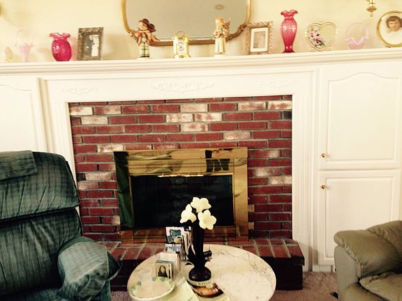 Gas or Wood fireplace