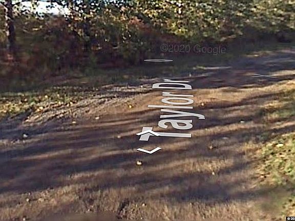 Taylor Drive - Growth Hidden