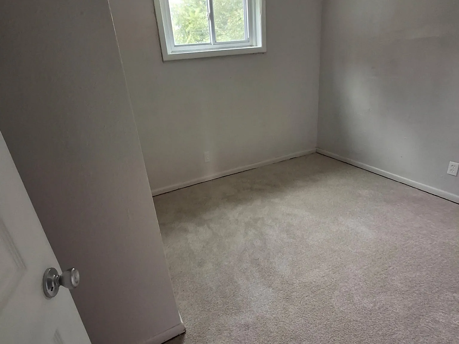2 bed, $1,300 — Photo 2