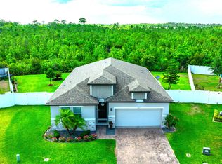 807 Armenia Ct, New Smyrna Beach, FL 32168
