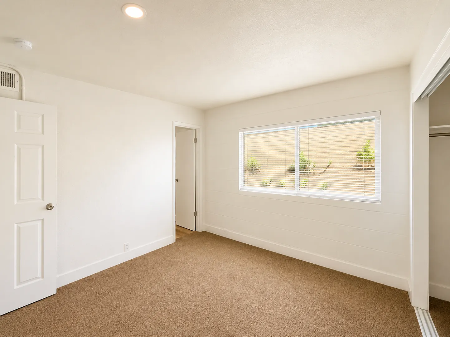 elm2901 — Photo 3