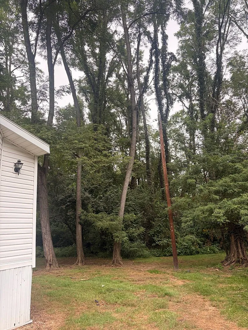 Hidden Treasure — Photo 2