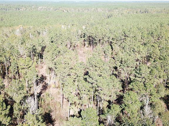 3rd image of 0 Fm 770 Rd