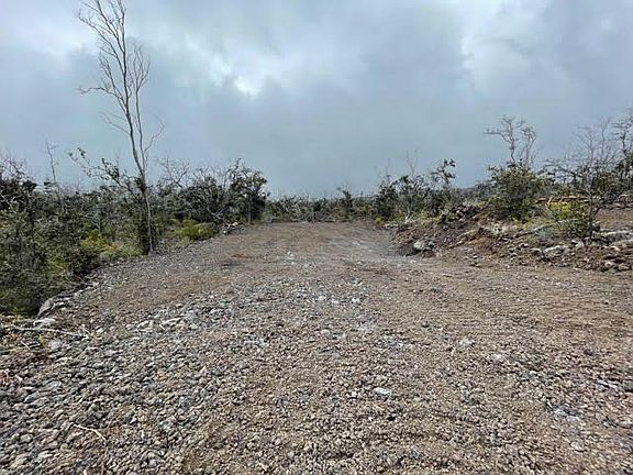 3rd image of Pineapple Pkwy Lot 20