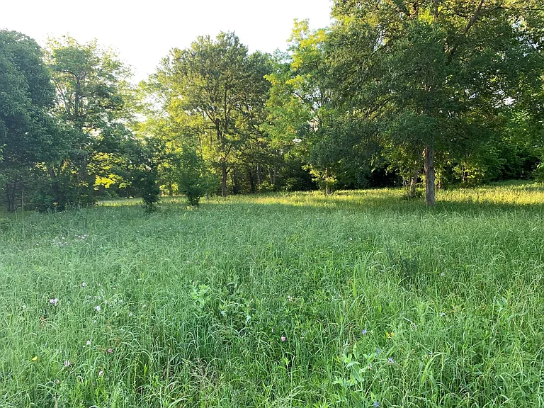 501 FM 1227 Rd — Photo 10