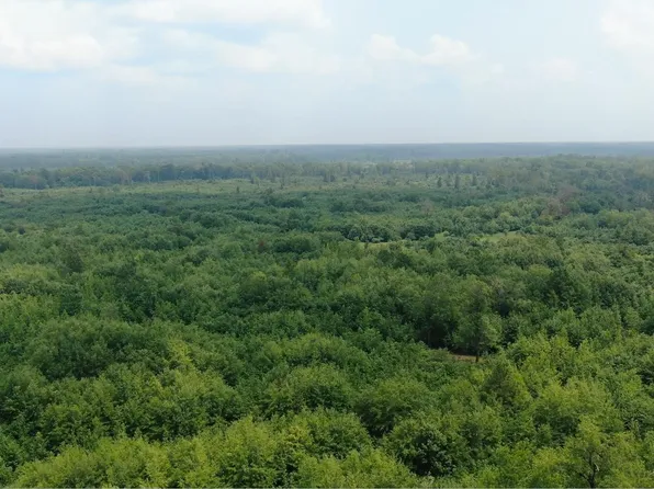 Metes & Bounds Calhoun, Hampton, AR 71744