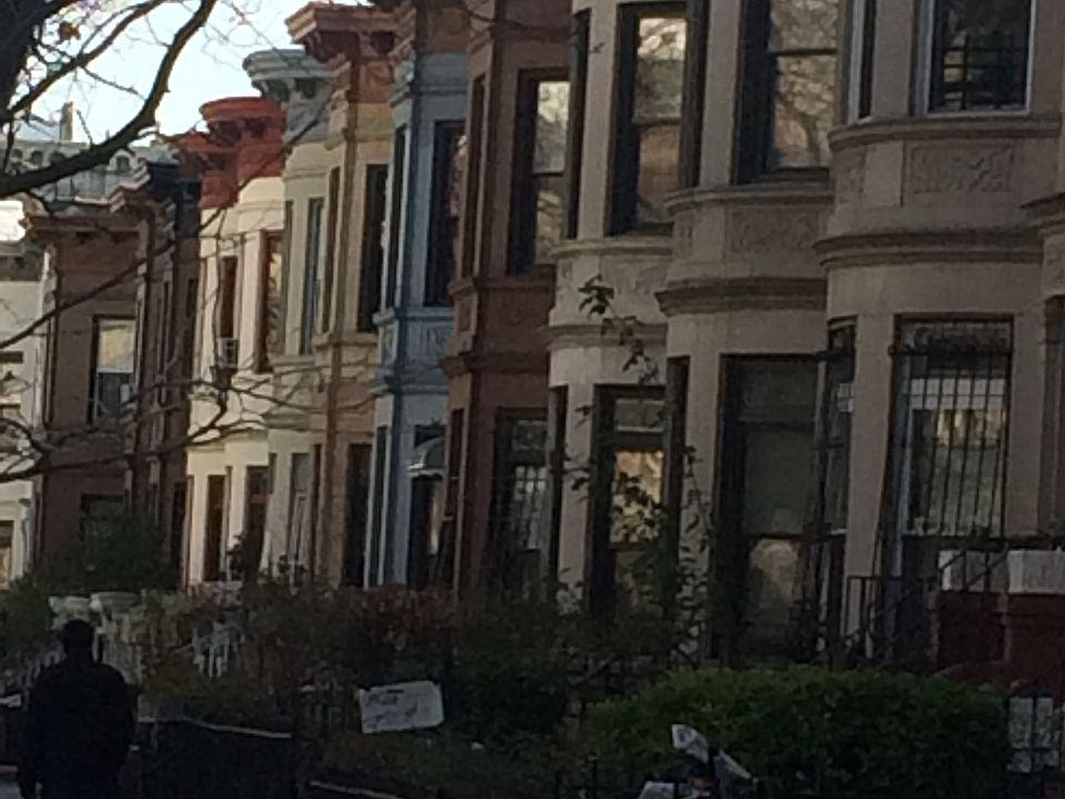 1st image of Prospect Lefferts Gdns #16