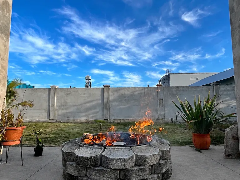 Z2 Yagrumo — Photo 12