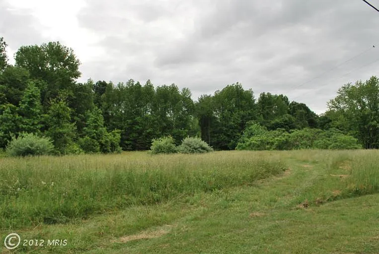 415 Pine Tree Rd photo 1