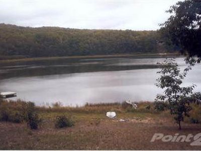 11120 Glovers Lake Ln, Bear Lake, MI, 49614