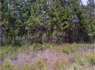 2707 Spruce St, Bunnell, FL 32110