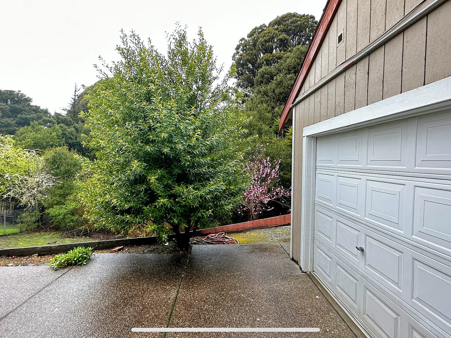 1 bed, 3279 sqft, $1,750 — Photo 2