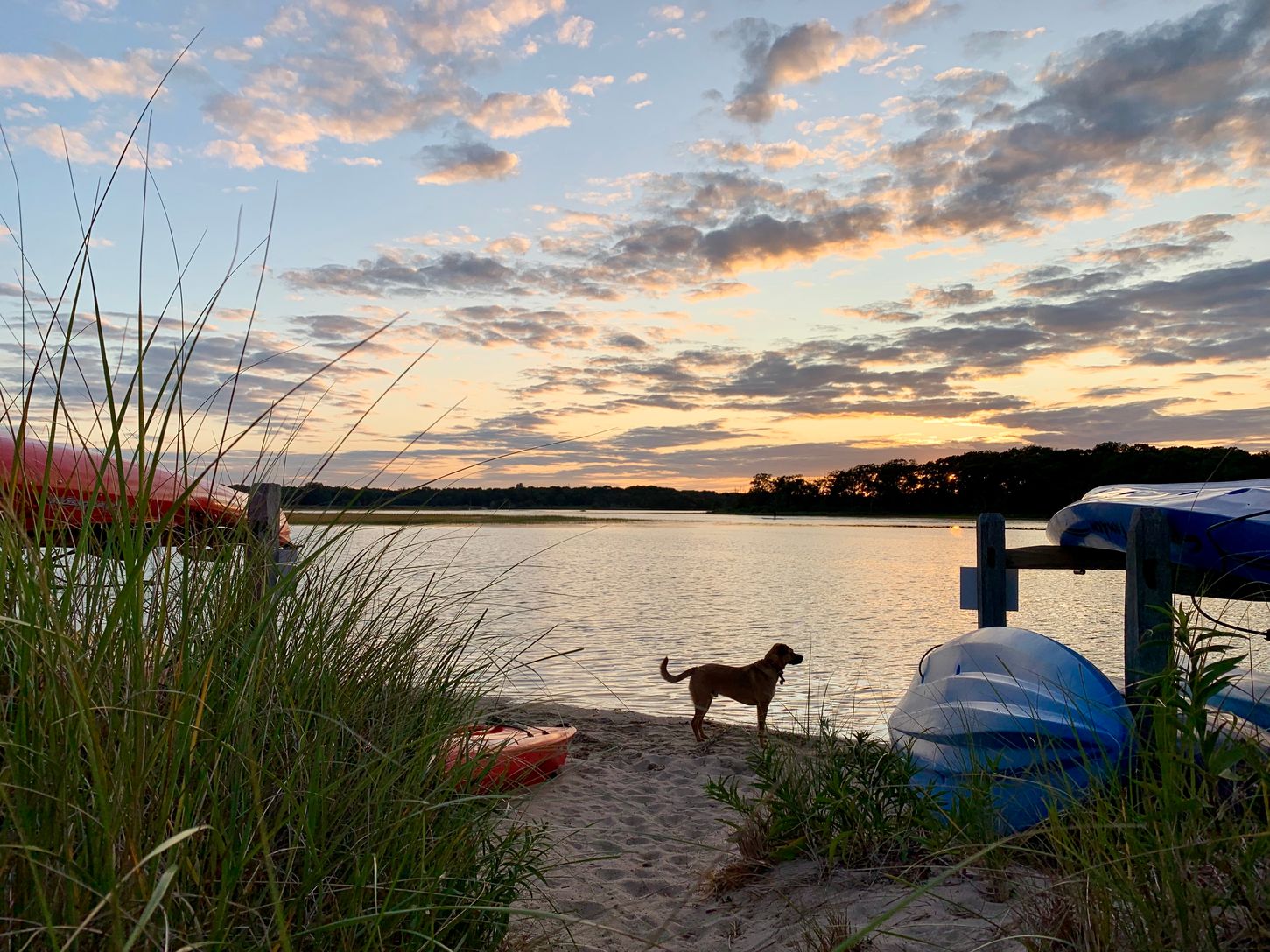  LOUSE POINT- PERFECT FOR  KAYAK AND PADDLE BOARDING