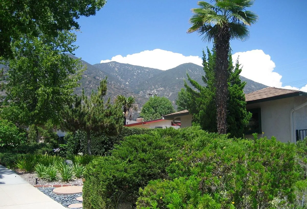 3 bed, 1650 sqft, $4,950 — Photo 2