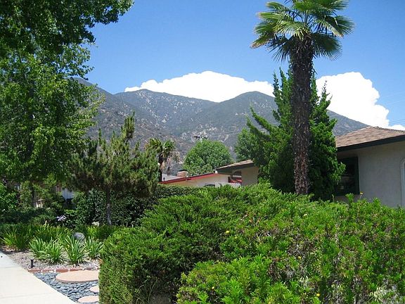 Front Yard - Facing Northeast