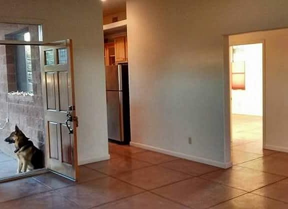 4th image of 710 N Van Alstine St #38