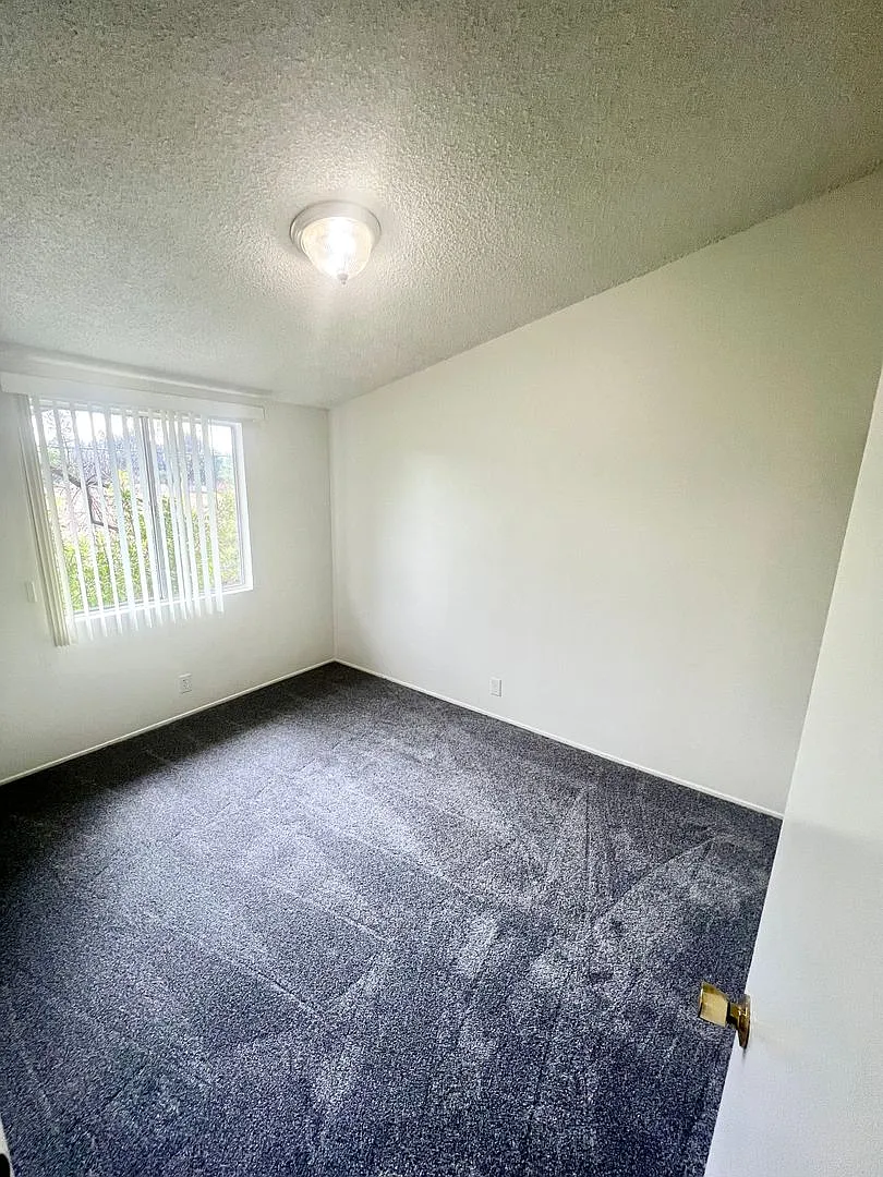 2763 Calle Quebracho — Photo 4