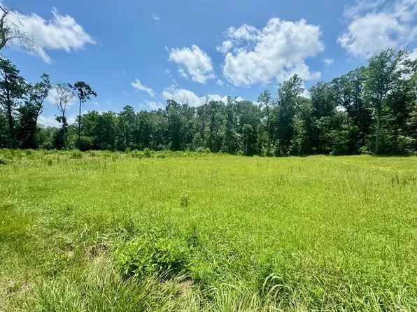 70 Ryall Ac County Rd #172, Jasper, TX 75951