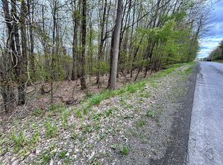 Mary Brown Hill Rd LOT 3, Laurens, NY 13796