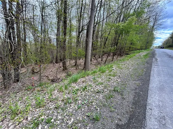 Mary Brown Hill Rd Lot 3, Laurens, NY 13796