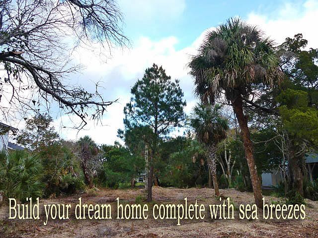 1st image of 3513 Palmetto Blvd