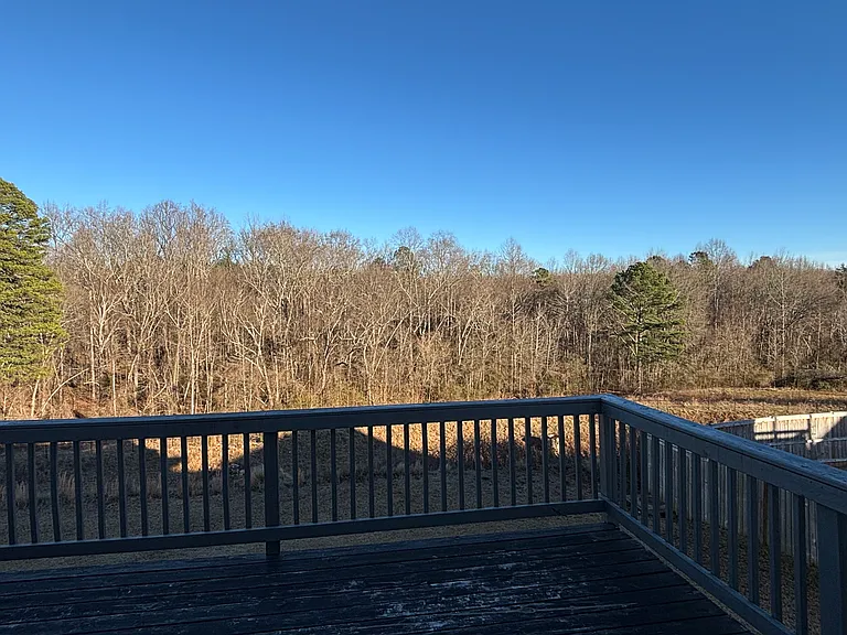 163 Mayfield Crossing Ln — Photo 13