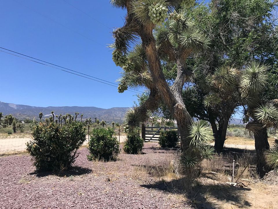 2nd image of 4000 Yucca Terrace Rd
