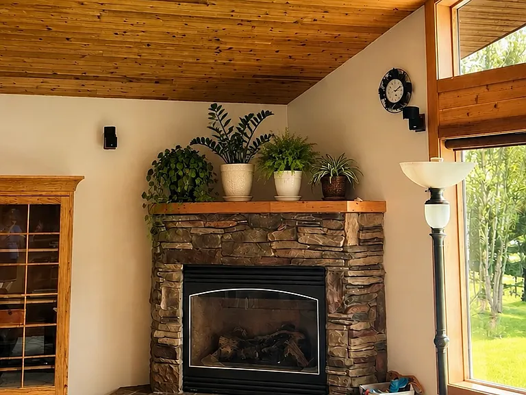 25685 White Spruce Dr — Photo 5