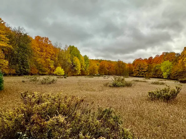 0 S Plowman Rd, Glen Arbor, MI 49636