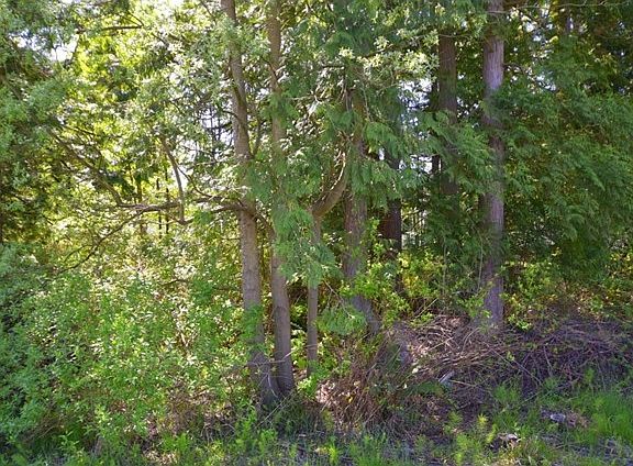 5th image of 8712 Harbor Dr