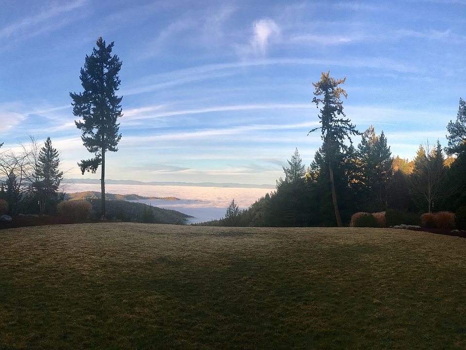 Above the fog in the winter