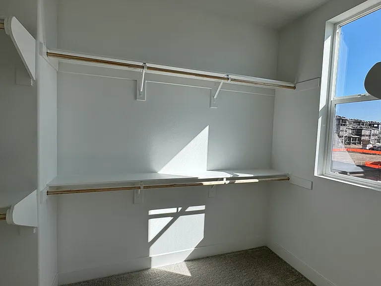 153 Sora — Photo 10
