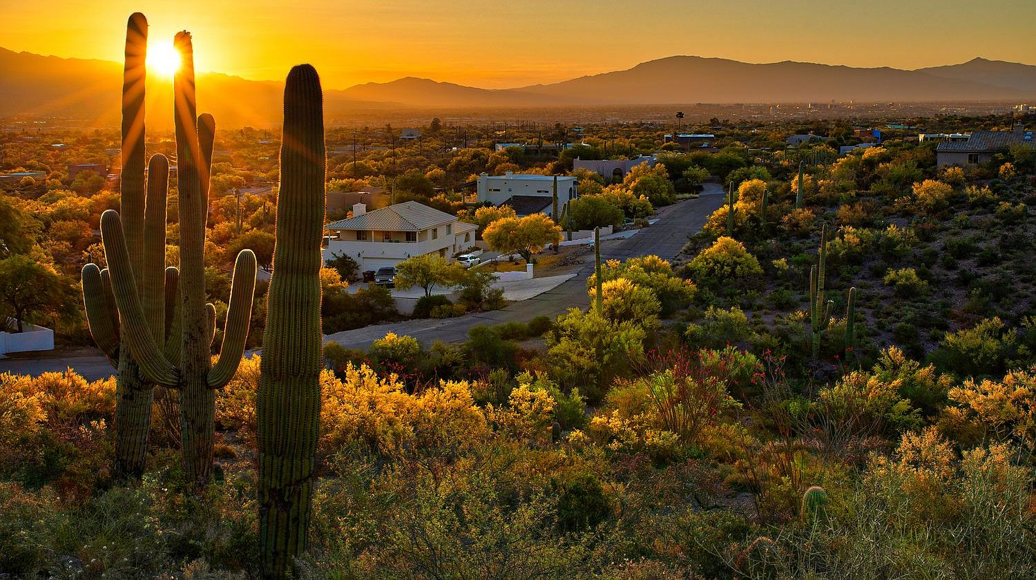 Mesquite Plan, The Hills at Tucson National