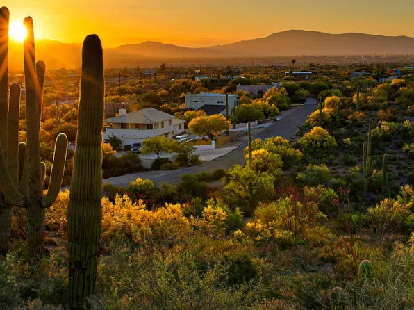 Mesquite Plan, The Hills at Tucson National