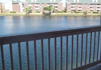 4th image of 3428 Cove Vw