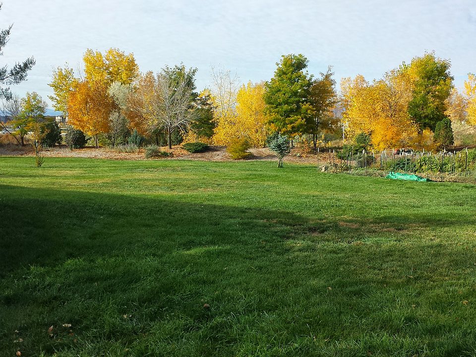 Huge backyard ... come and be part of our paradise.