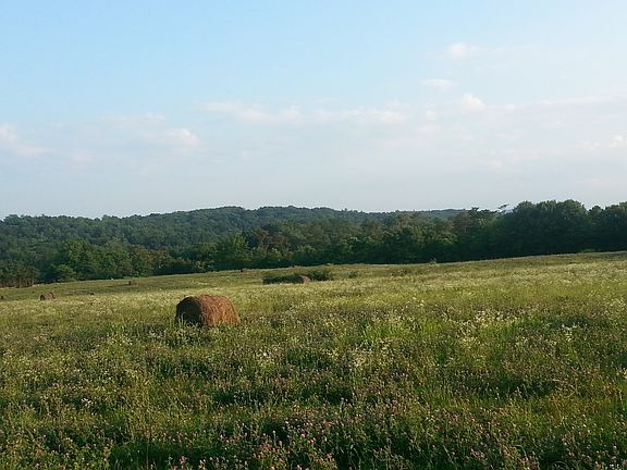3rd image of Ridge Hollow Road