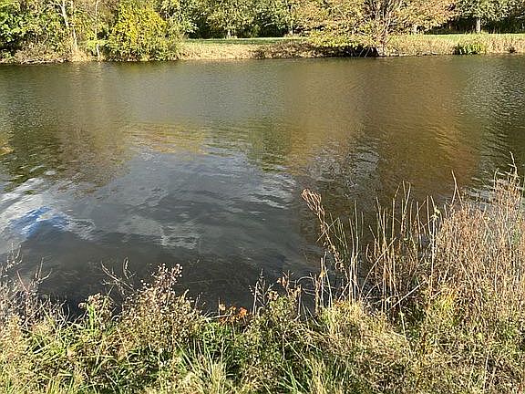 3rd image of 2124 Bluewater Dr